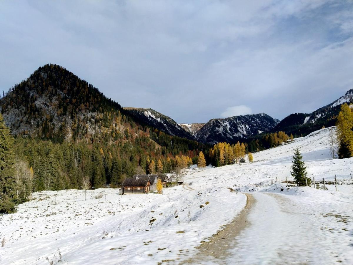 Berglebnis Daire Tauplitz Dış mekan fotoğraf