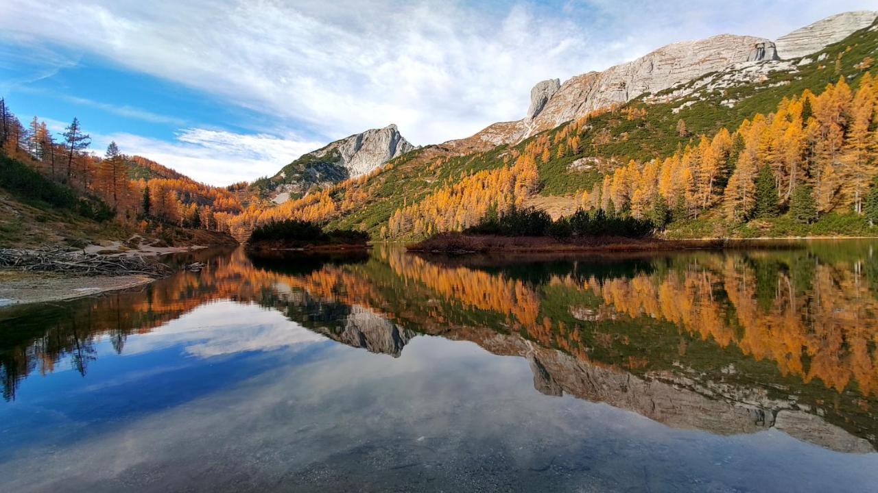 Berglebnis Daire Tauplitz Dış mekan fotoğraf