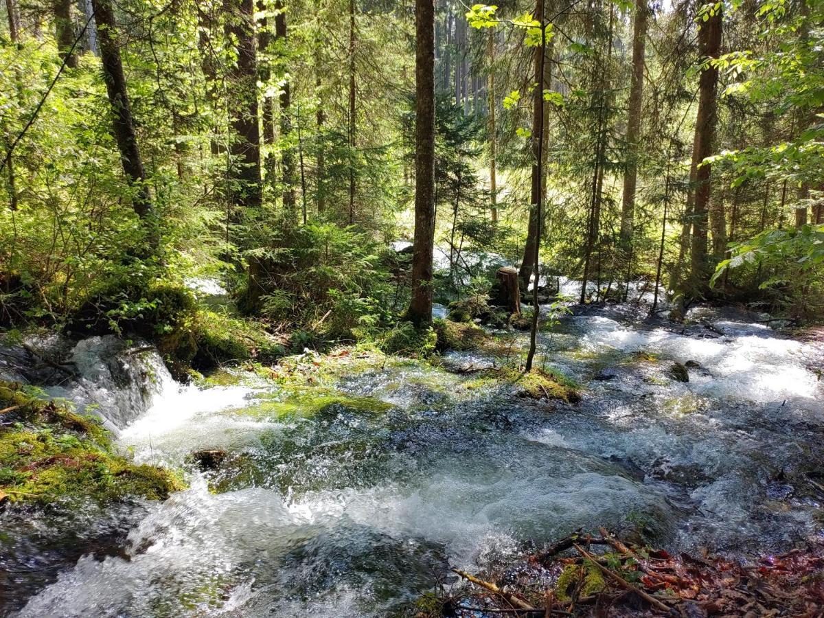 Berglebnis Daire Tauplitz Dış mekan fotoğraf