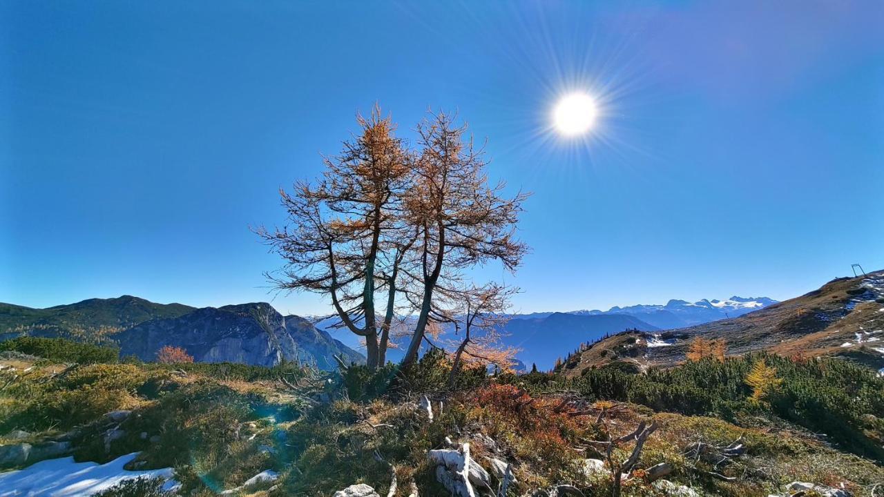 Berglebnis Daire Tauplitz Dış mekan fotoğraf