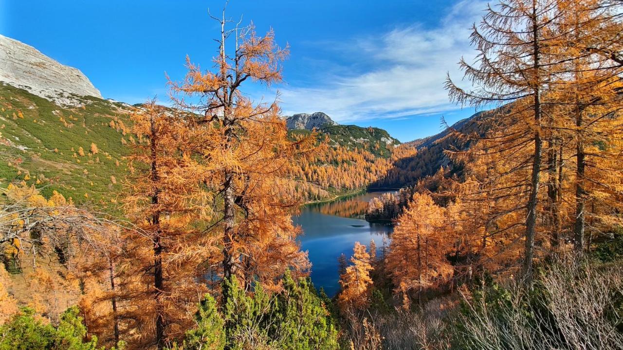 Berglebnis Daire Tauplitz Dış mekan fotoğraf
