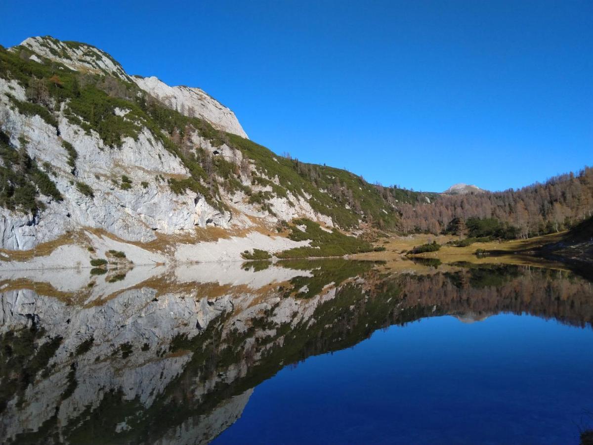 Berglebnis Daire Tauplitz Dış mekan fotoğraf